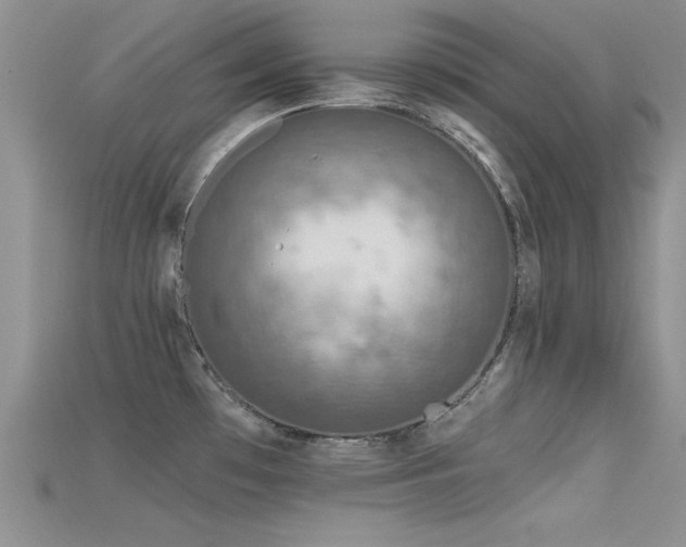 X0000115671481200911121142