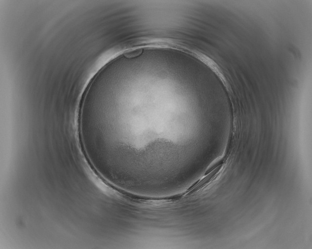 X0000115671482200911121142