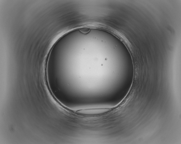 X0000115671483200911121142
