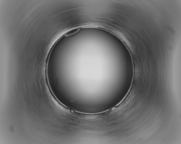 X0000115671484200911121142