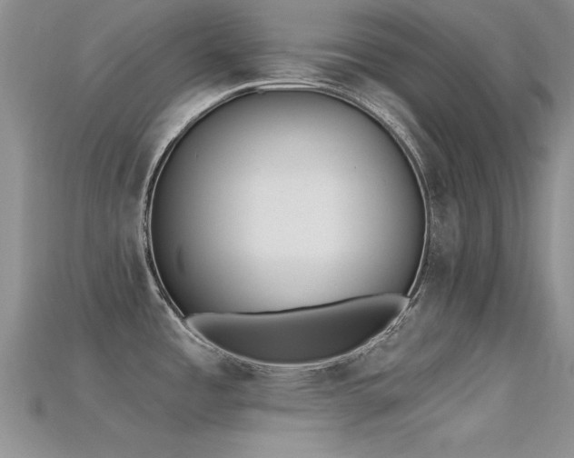 X0000115671485200911121142