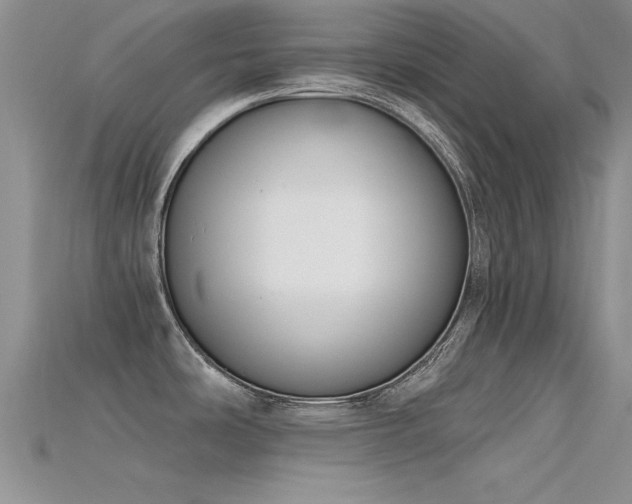 X0000115671486200911121142