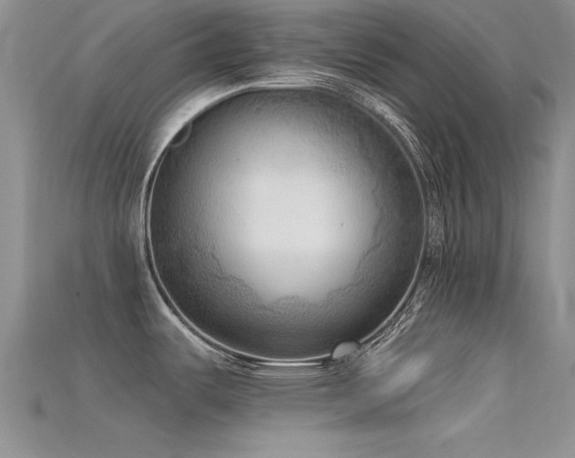 X0000115671487200911121142