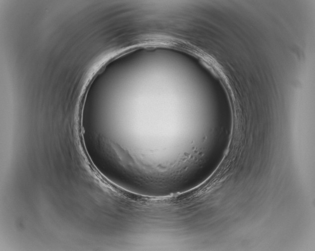 X0000115671488200911121142