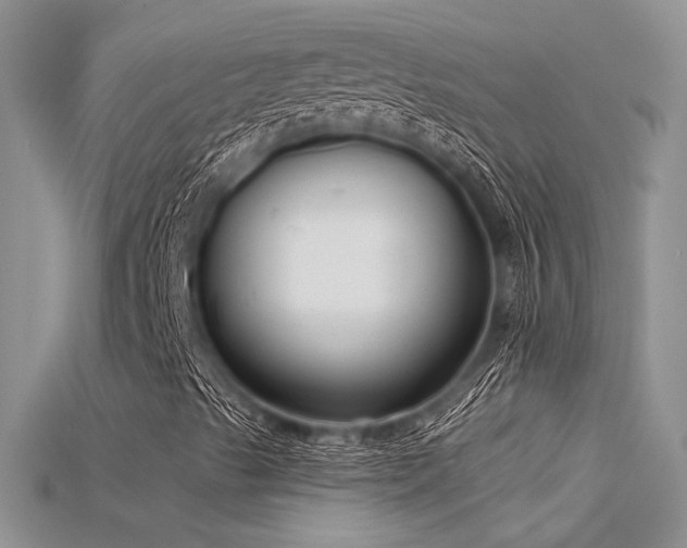 X0000115671489200911121142