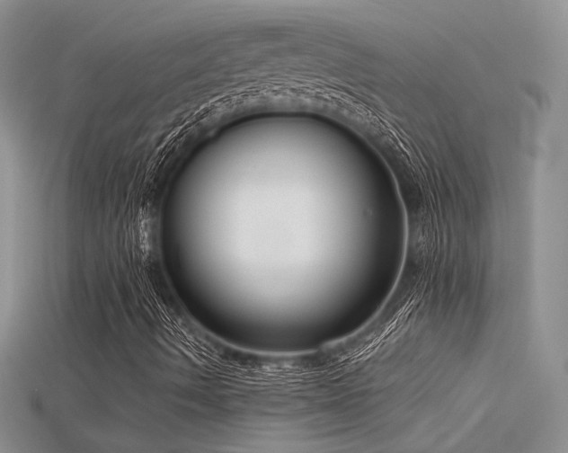 X0000115671490200911121142