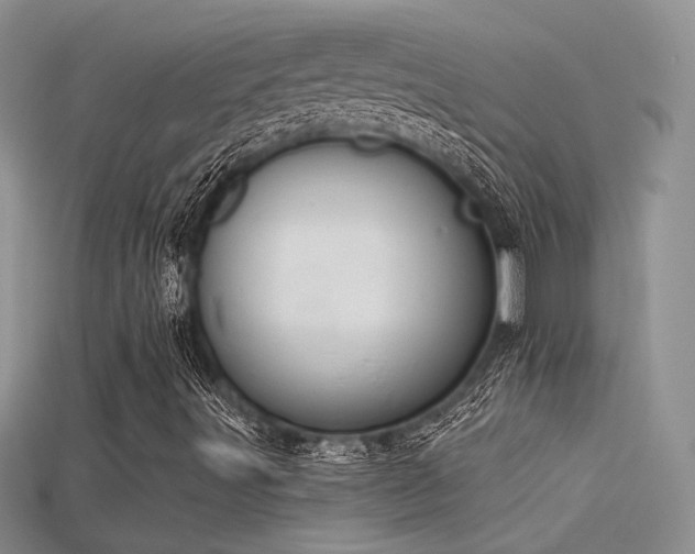 X0000115671491200911121142