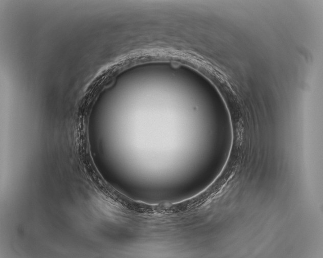 X0000115671494200911121142