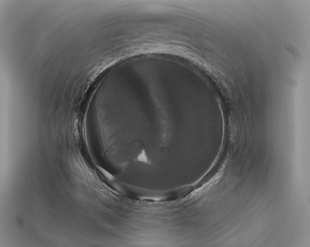 X0000115671497200911121142