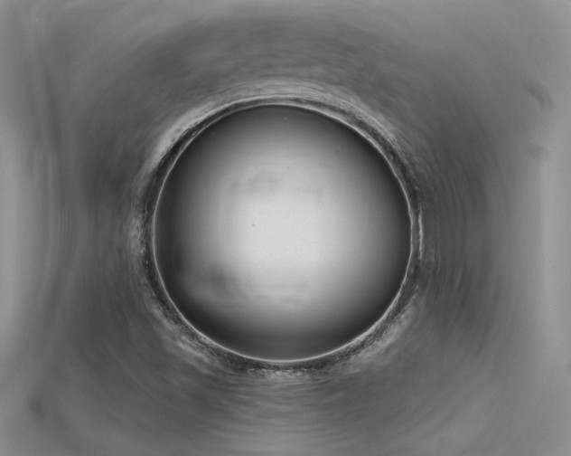 X0000115671501200911121142
