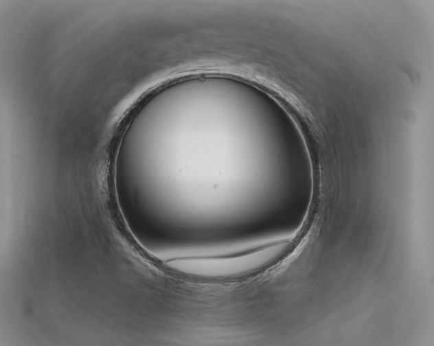 X0000115671502200911121142