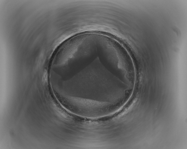 X0000115671505200911121142