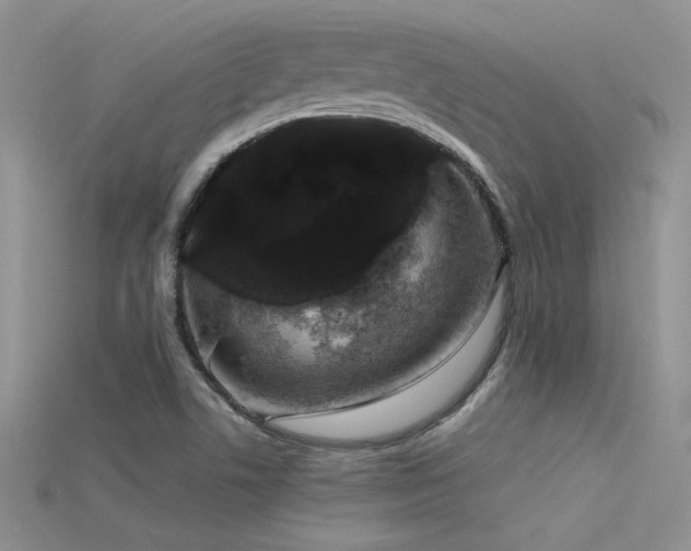 X0000115671506200911121142