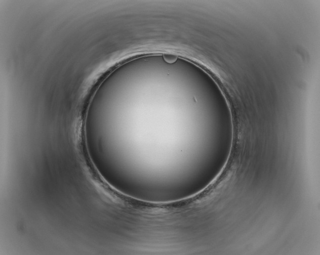 X0000115671507200911121142