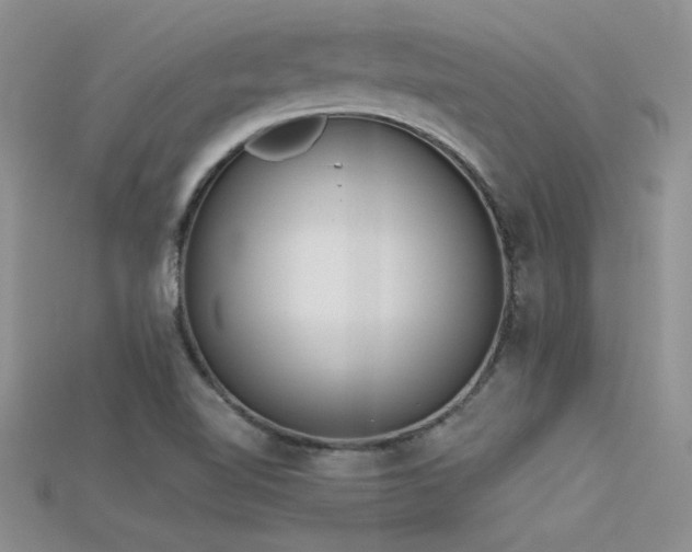 X0000115671510200911121142