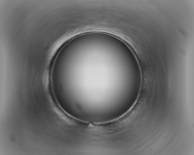 X0000115671511200911121142