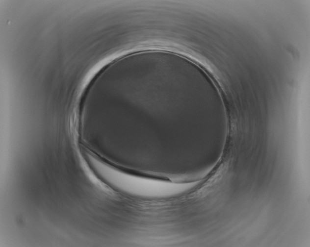 X0000115671515200911121142