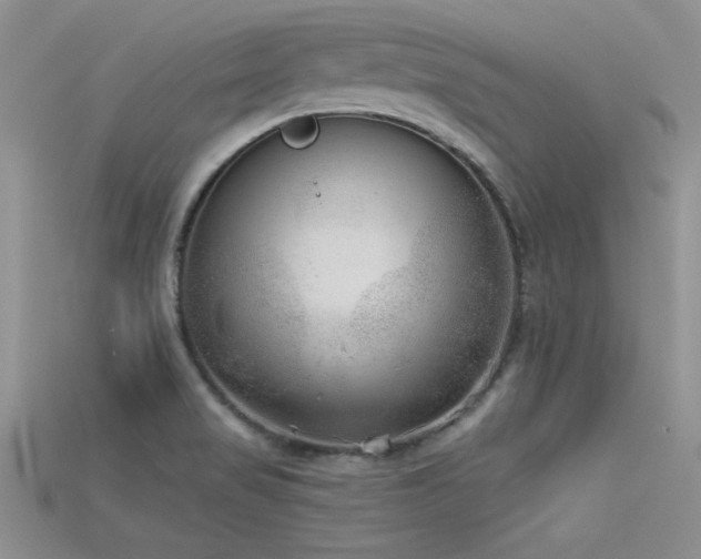 X0000115671517200911121142