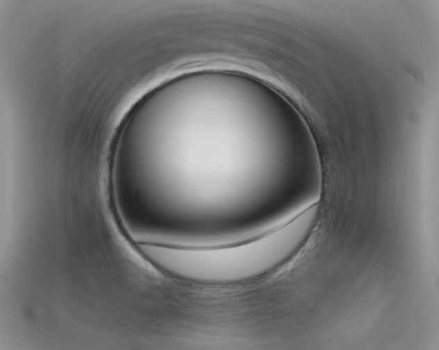 X0000115671518200911121142