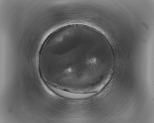 X0000115671519200911121142