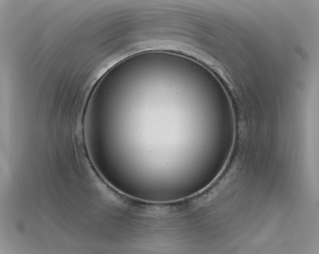 X0000115671521200911121142