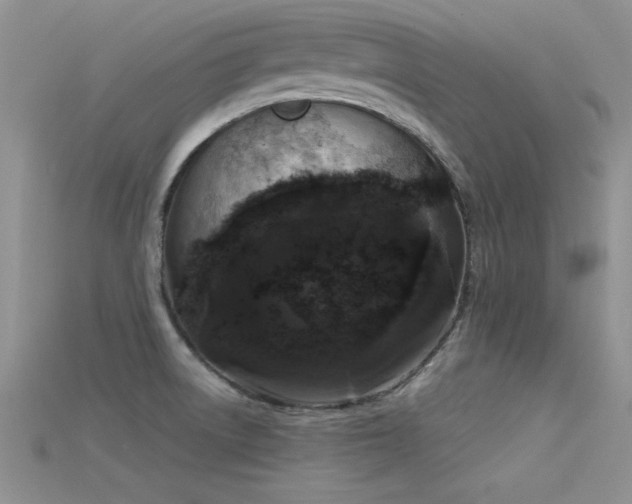 X0000115671522200911121142
