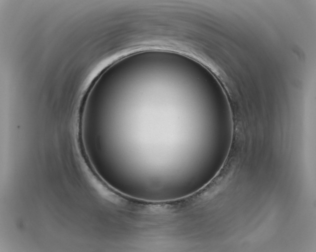 X0000115671523200911121142