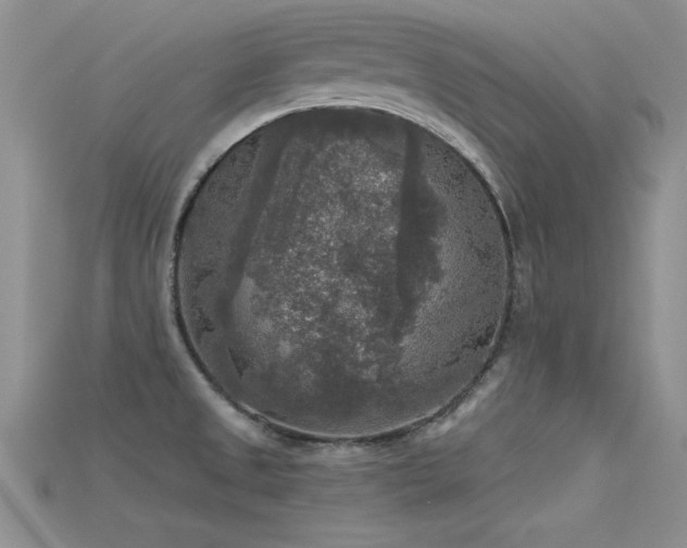 X0000115671525200911121142