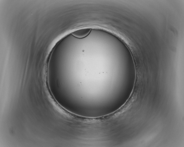 X0000115671526200911121142