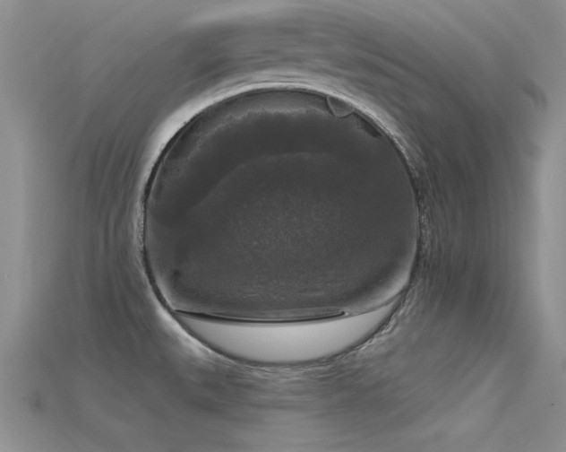 X0000115671527200911121142