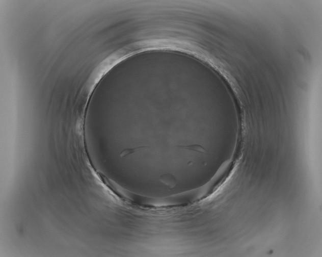 X0000115671529200911121142