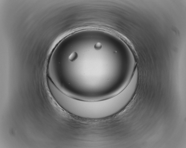 X0000115671530200911121142