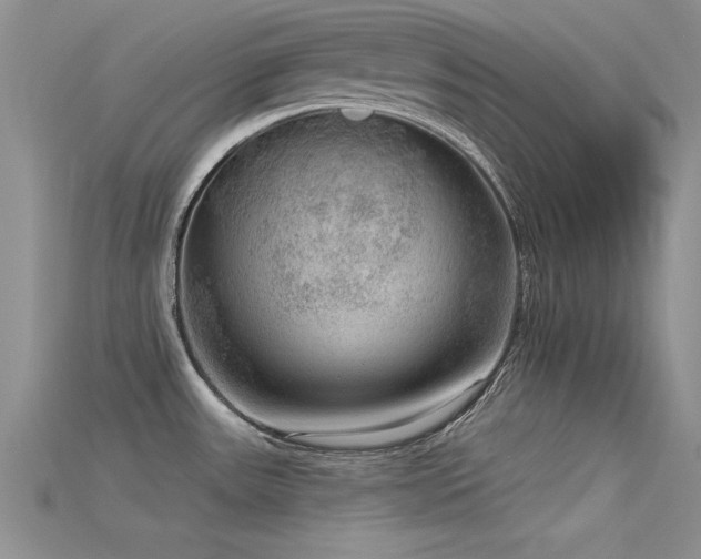 X0000115671531200911121142