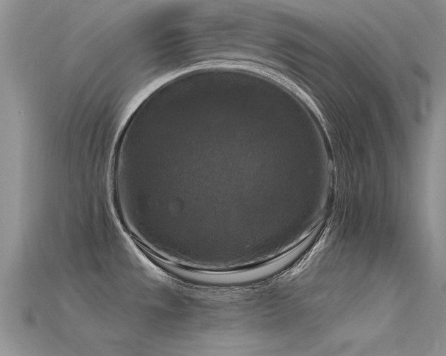 X0000115671533200911121142