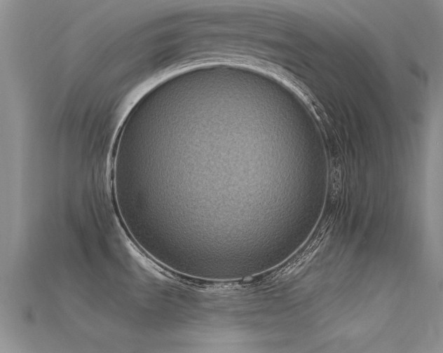 X0000115671535200911121142