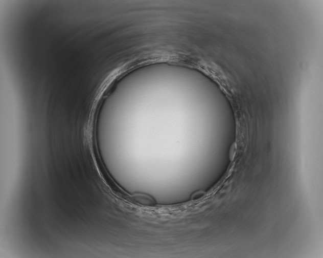 X0000115670003200911191035