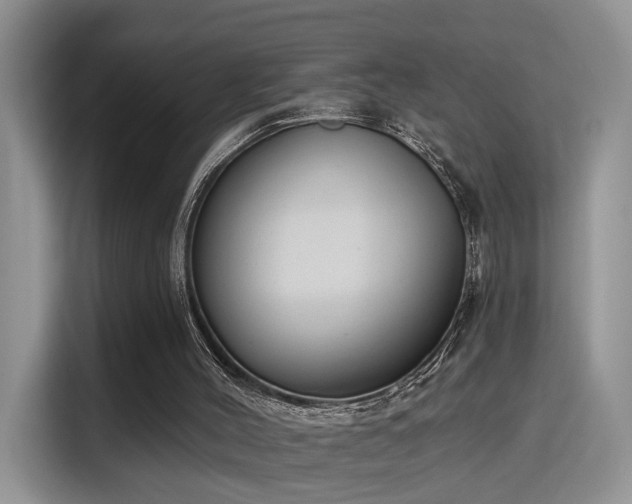 X0000115670004200911191035