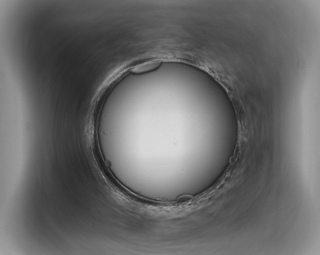 X0000115670005200911191034