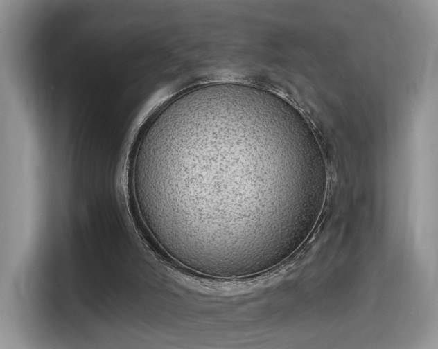 X0000115670006200911191034