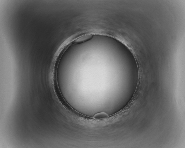 X0000115670007200911191034