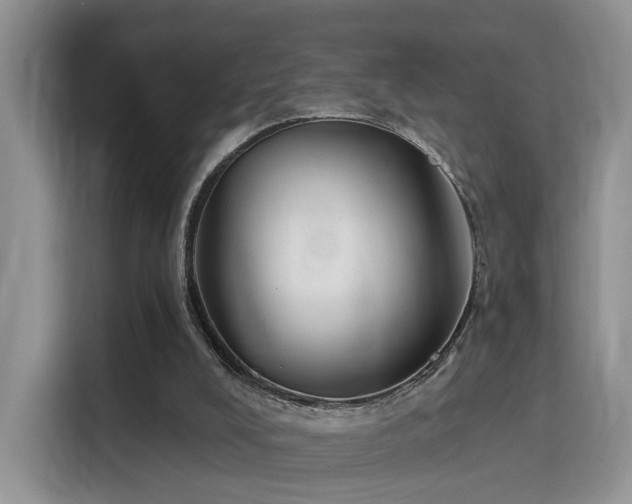 X0000115670008200911191034