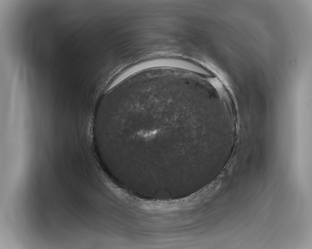 X0000115670009200911191034
