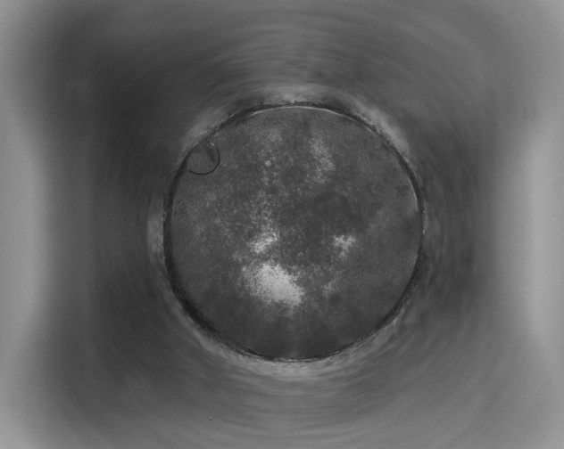 X0000115670010200911191034