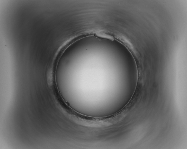 X0000115670012200911191034