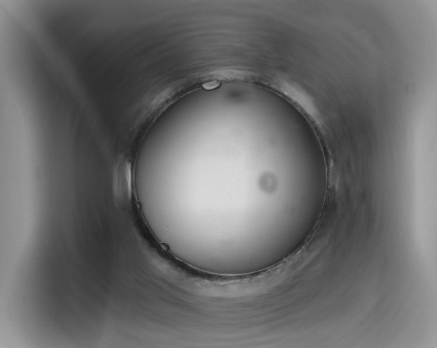 X0000115670013200911191034