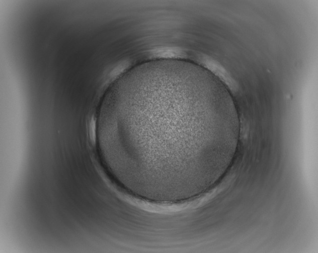 X0000115670014200911191034