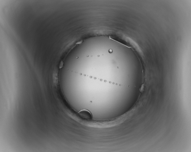 X0000115670017200911191034