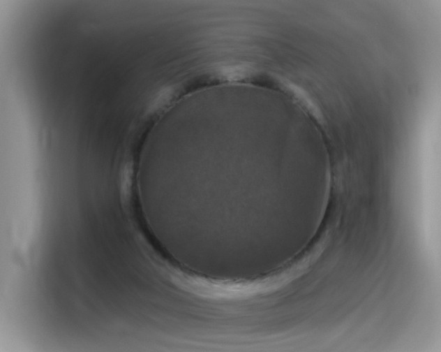 X0000115670018200911191034