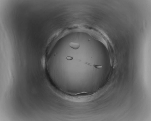 X0000115670019200911191034