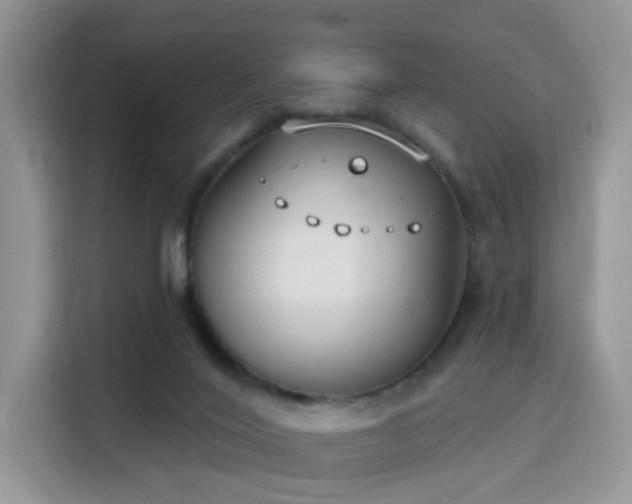 X0000115670020200911191034
